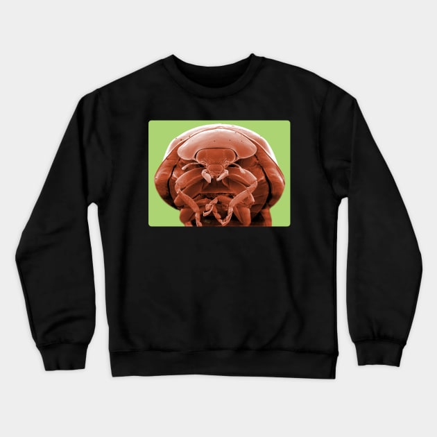 Alien Looking Sci fi Bug Creature scifi Crewneck Sweatshirt by Citrus Canyon